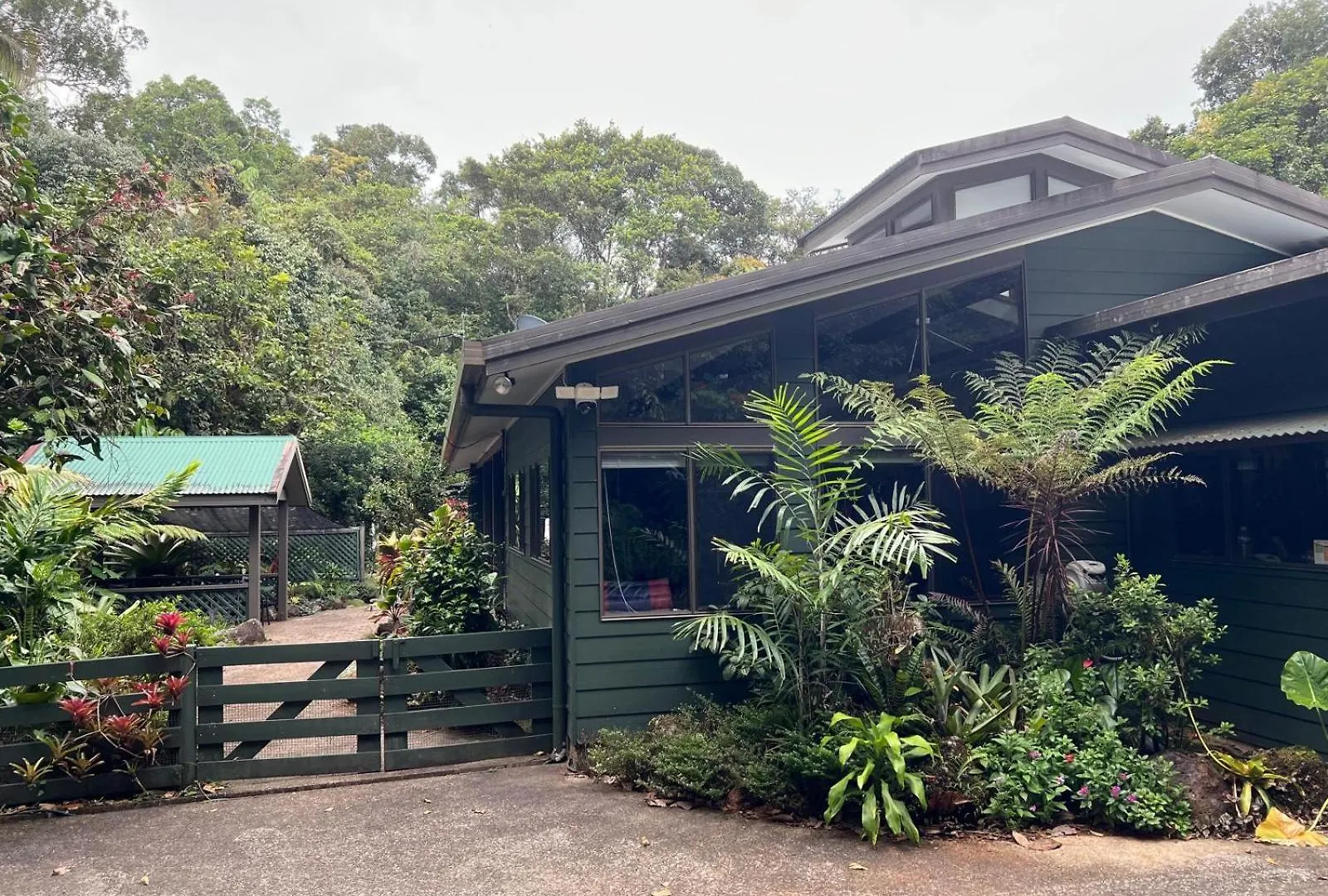 Riflebird Lodge Topaz